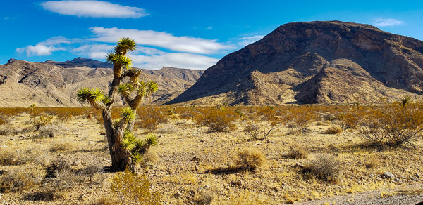 Drive to Little Finland